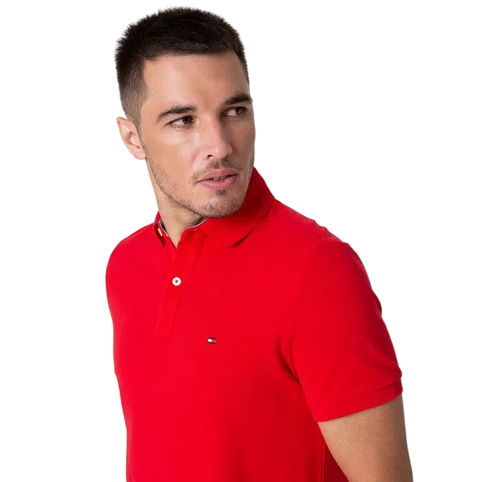 CAMISETA POLO MASCULINA TOMMY HILFIGER CLÁSSICA REGULAR IVY